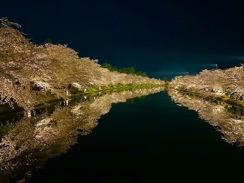 桜の日本三代名所の一つ弘前公園
