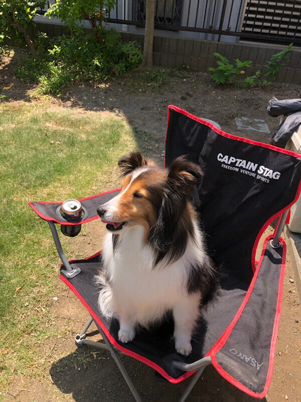 愛犬とBBQ