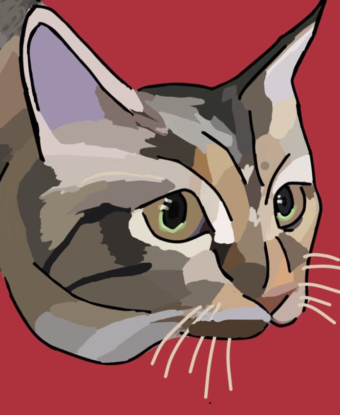 猫ちゃん