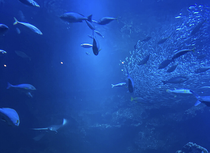 家族との貴重な時間