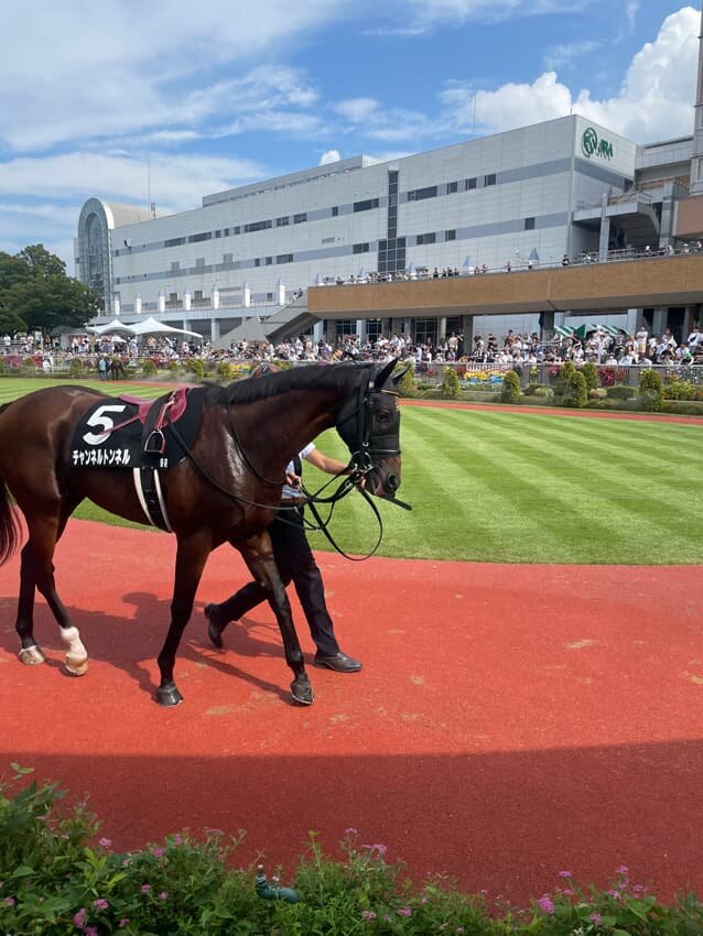 新潟競馬場へ！