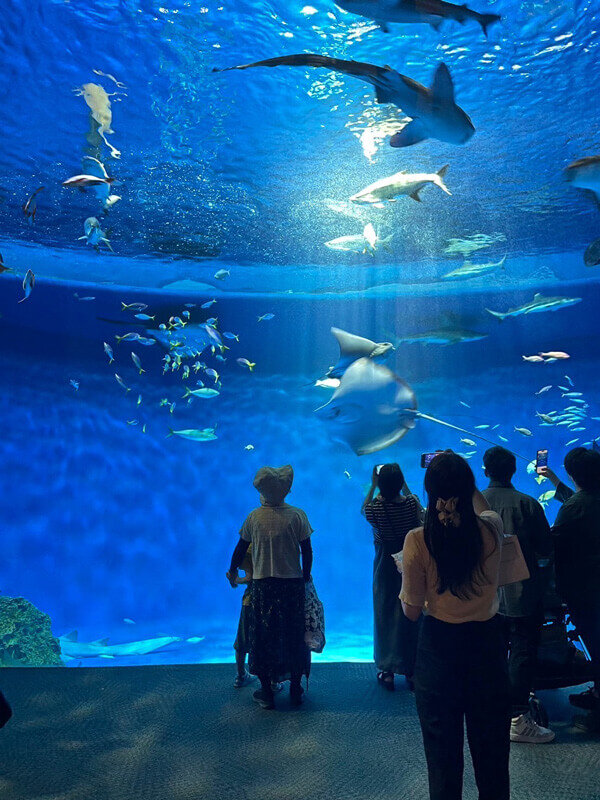 休日に兵庫県の水族館へ