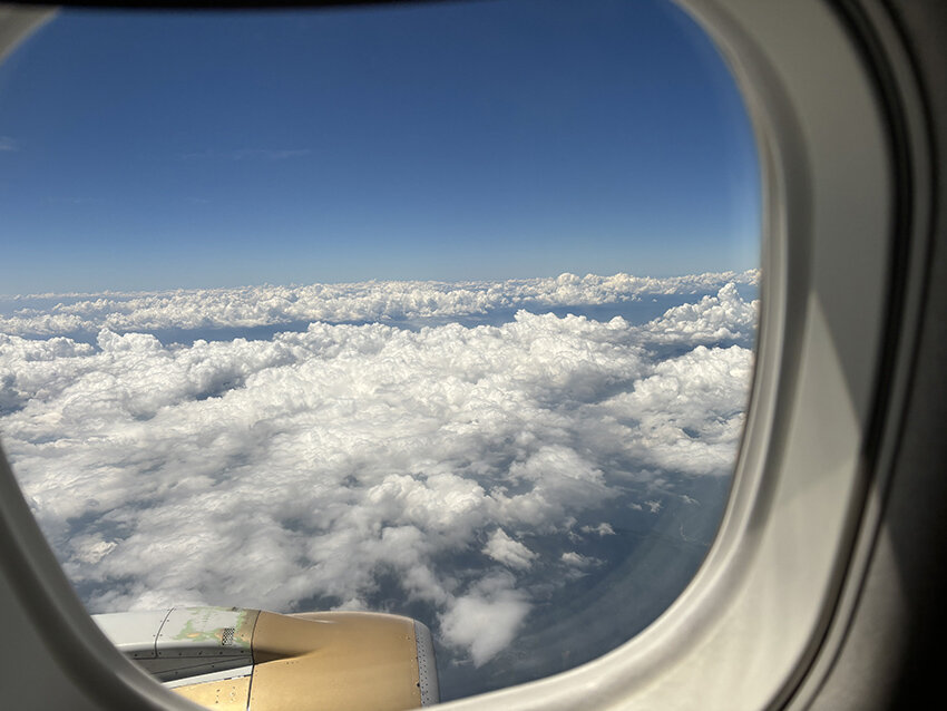 趣味は旅行！